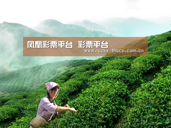 凤凰彩票平台-彩票平台