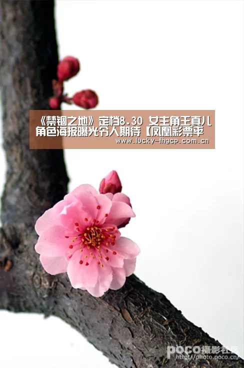《禁锢之地》定档8.30 女主角王真儿角色海报曝光令人期待【凤凰彩票平台】(图2) 凤凰彩票官网登录